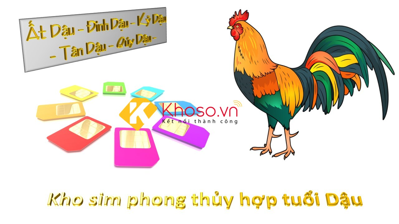 tim-sim-phong-thuy-hop-tuoi-dau-de-giup-tuong-tro-ban-menh