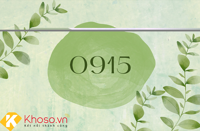 dau-so-0915-la-cua-nha-mang-nao-co-y-nghia-phong-thuy-ra-sao